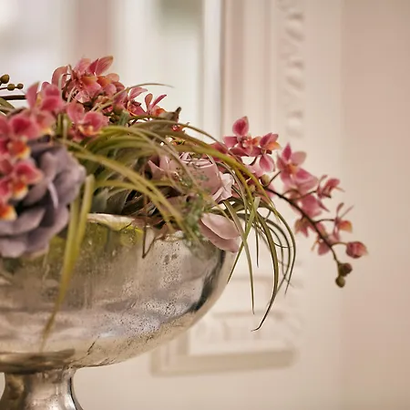 코스모폴리탄 5*